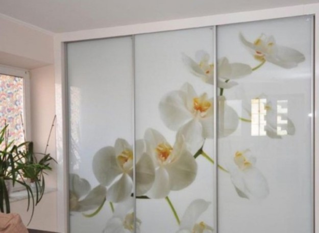 Шкаф-купе «Орхидея»
