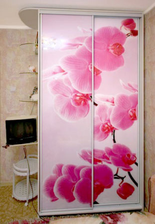 Шкаф-купе с фотопечатью «Орхидея розовая»