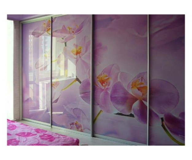 Шкаф-купе с розовыми орхидеями