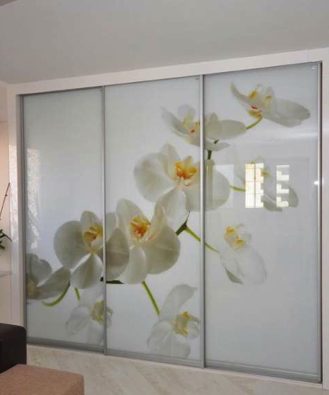 Встроенный линейный шкаф-купе «Орхидея»